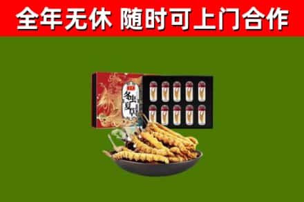 永兴烟酒回收冬虫夏草礼盒.jpg