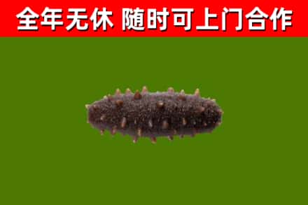 永兴烟酒回收干海参.jpg